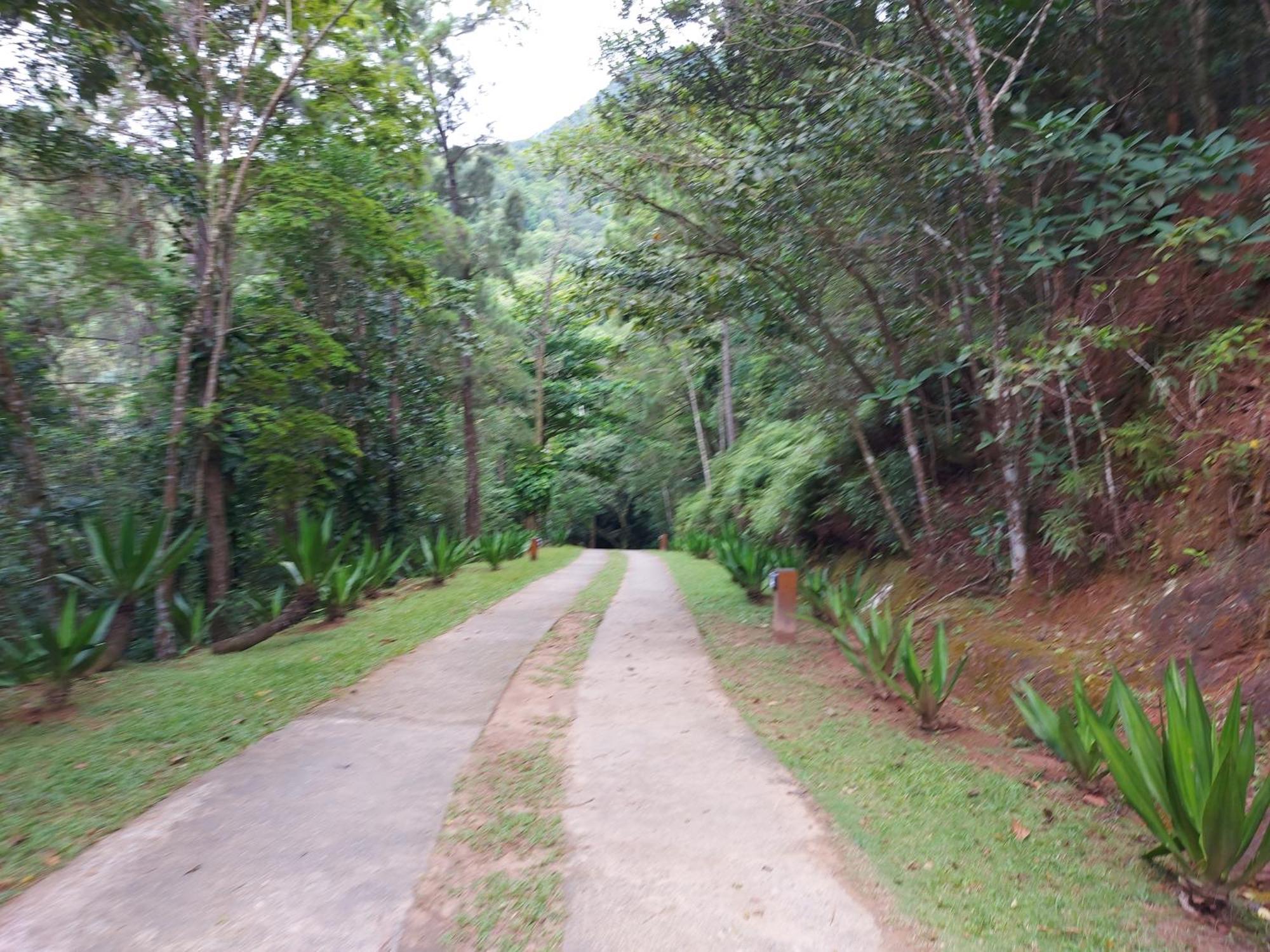 Quintal Da Mata Hotel Sao Sebastiao  Kültér fotó